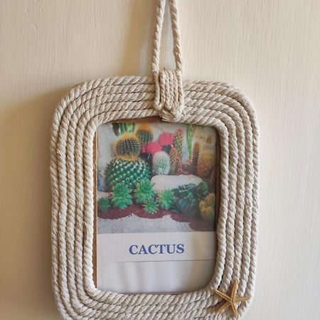 Chambre Chez L'Habitant "Cactus" Une, Deux Ou Trois Personnes Derval Exteriér fotografie