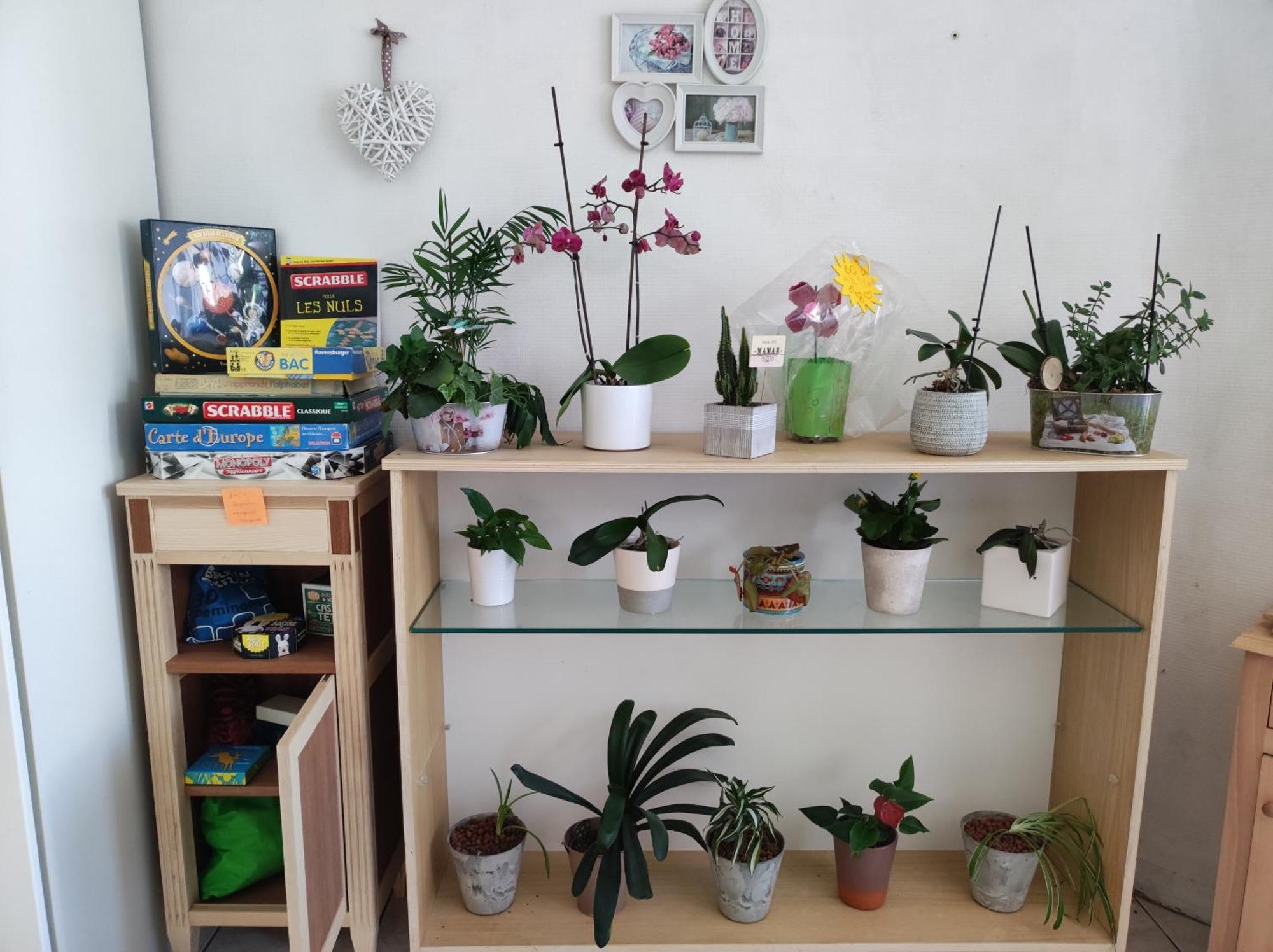 Chambre Chez L'Habitant "Cactus" Une, Deux Ou Trois Personnes Derval Exteriér fotografie